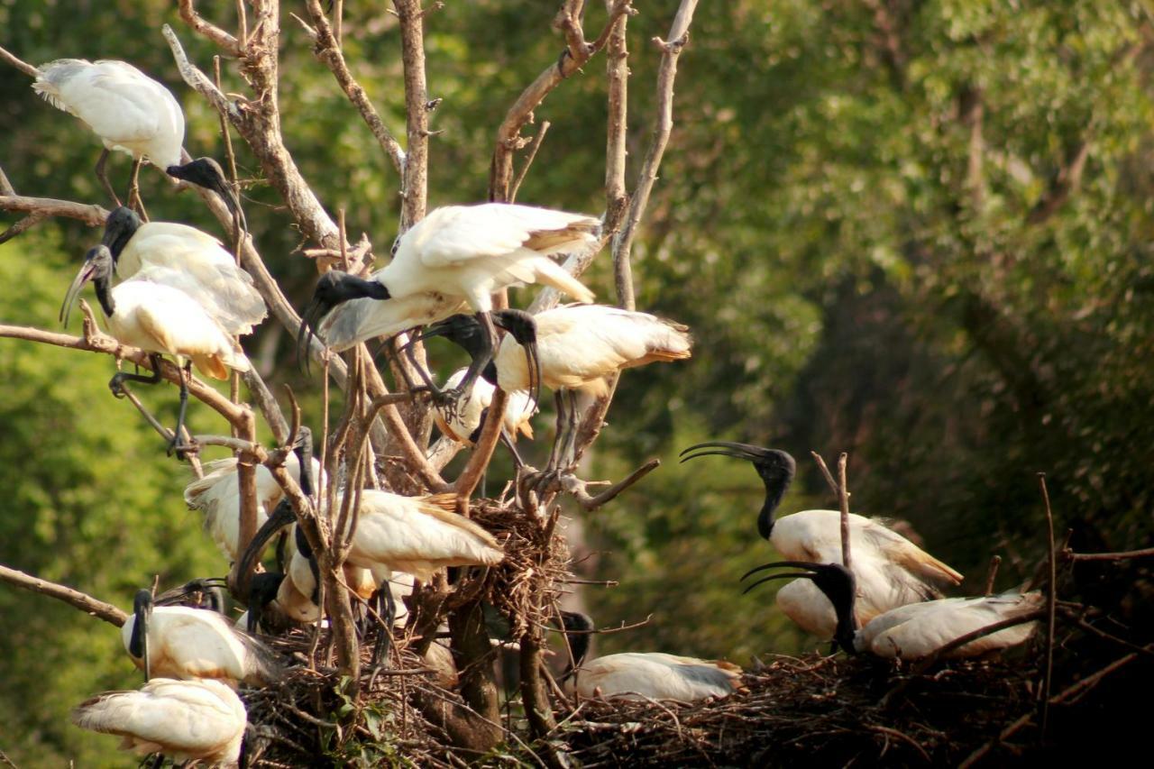 Wasgamu Safari Lodge Wasgamuwa Екстериор снимка
