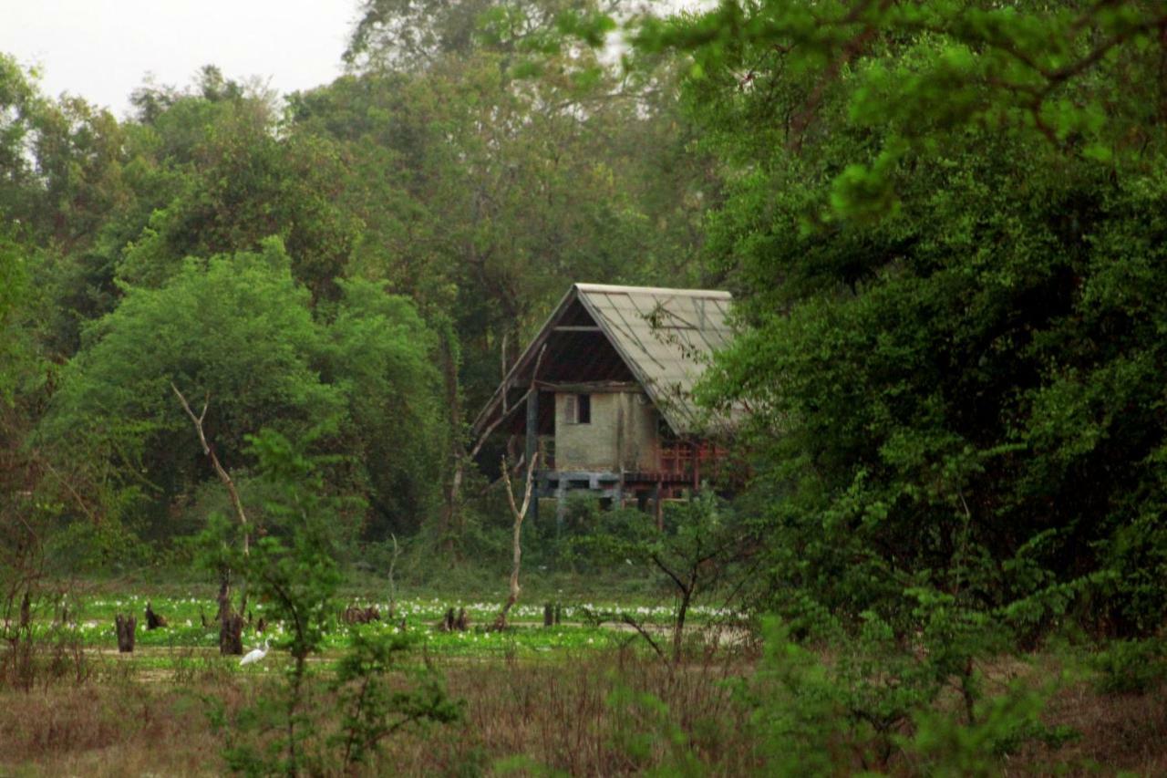 Wasgamu Safari Lodge Wasgamuwa Екстериор снимка