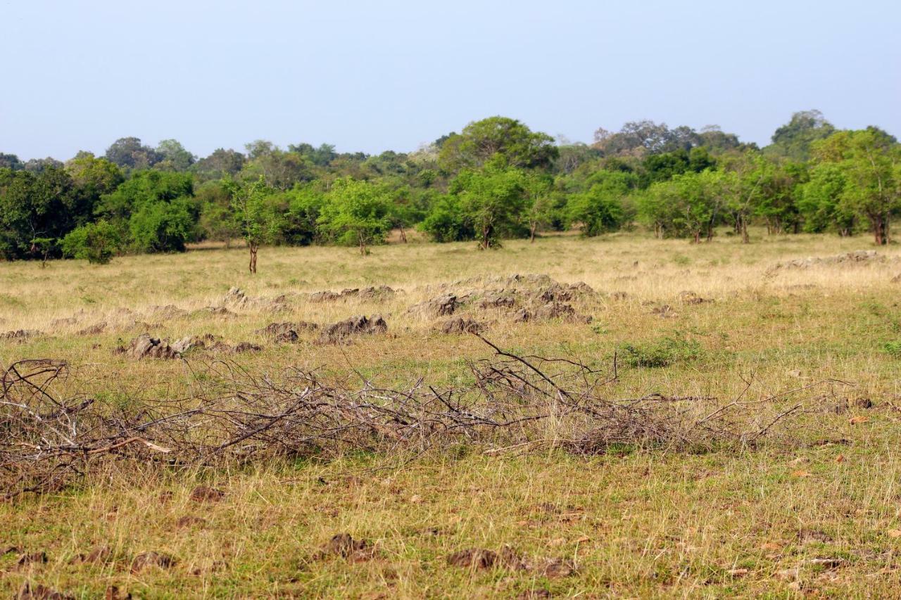 Wasgamu Safari Lodge Wasgamuwa Екстериор снимка